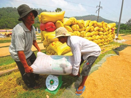 Tháo gỡ khó khăn cho tín dụng nông nghiệp nông thôn