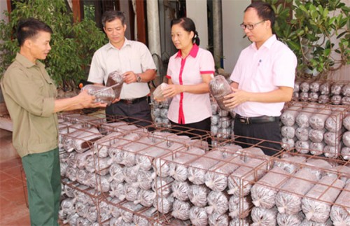 Phú Thọ giảm nghèo bền vững