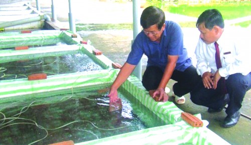 Tín dụng nhắm vào doanh nghiệp “ốm” Tín dụng nhắm vào doanh nghiệp “ốm”