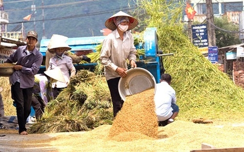 Ban hành Bộ tiêu chí quốc gia về xã nông thôn mới giai đoạn 2016-2020