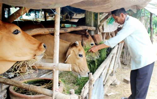 Phú Yên nâng cao chất lượng, hiệu quả tín dụng chính sách Phú Yên nâng cao chất lượng, hiệu quả tín dụng chính sách