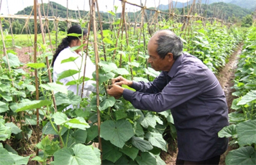 Tín dụng chính sách nơi vùng biên Lộc Bình Tín dụng chính sách nơi vùng biên Lộc Bình