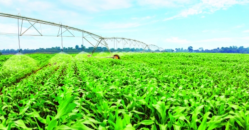 Phối hợp thúc đẩy tín dụng tam nông