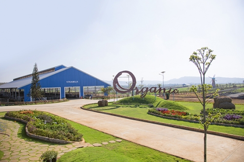 SCIC bán tiếp 3,33% vốn Nhà nước tại Vinamilk và được nhận đặt cọc bằng ngoại tệ