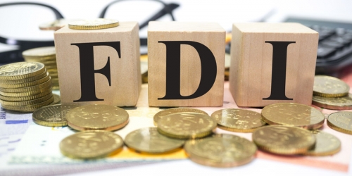 Thu hút FDI: Xây tổ cho phượng hoàng nào ở?