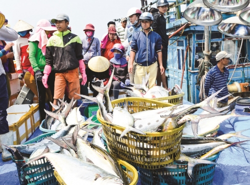 Vốn ngân hàng và sự hồi sinh của biển Vốn ngân hàng và sự hồi sinh của biển