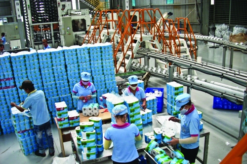 Ngành giấy lo bị vạ lây