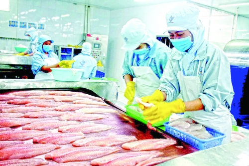 Cơ hội mở rộng thị phần cá tra vào Mỹ