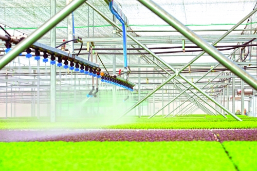 Phải cơ giới hóa cho sản xuất nông sản