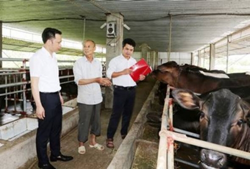 Agribank - một điểm nhấn trong bức tranh xây dựng nông thôn mới