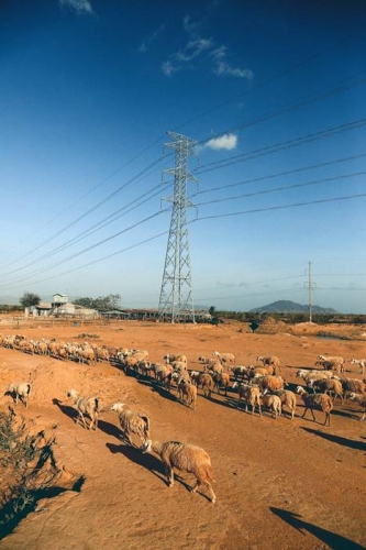 Đẳng cấp tiện ích quy mô lớn tại ApartHotel chuẩn 5 sao quốc tế