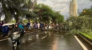 Mưa bão gây thiệt hại lớn tại Thừa Thiên - Huế
