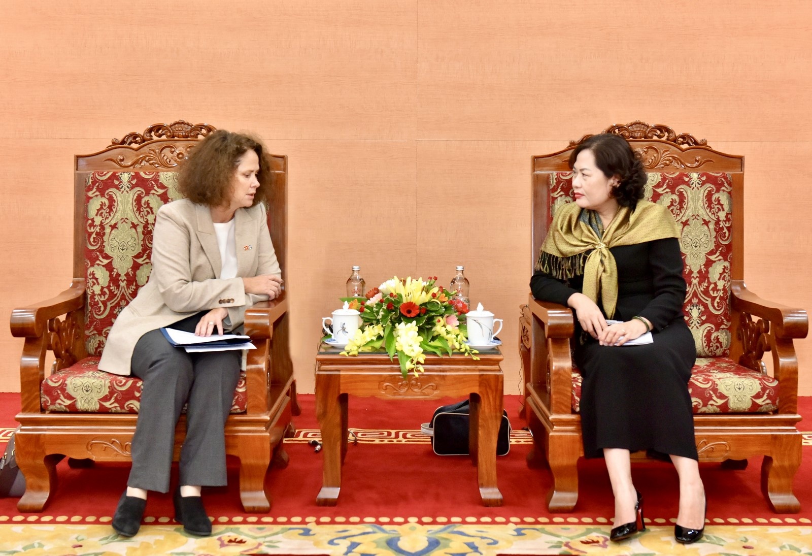 pho thong doc nguyen thi hong lam viec voi giam doc quoc gia wb tai viet nam