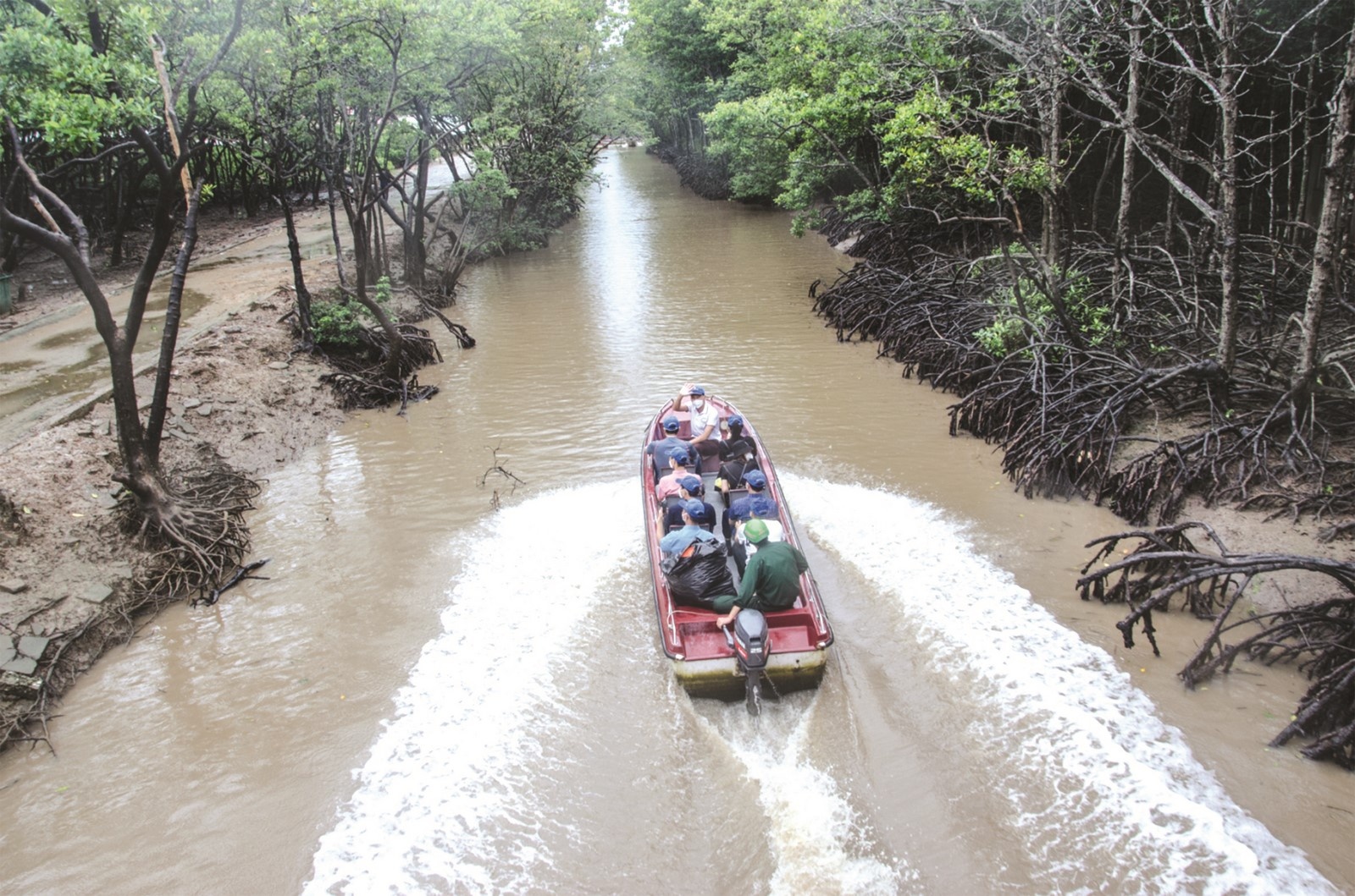 hanh trinh xanh tin hieu vui tu tp ho chi minh