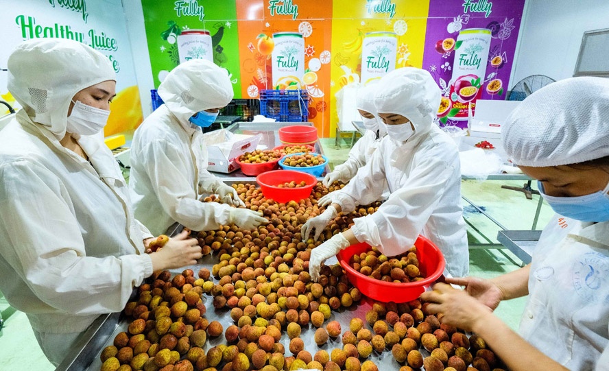 Định danh nông sản để nâng cao giá trị cạnh tranh dinh danh nong san de nang cao gia tri canh tranh