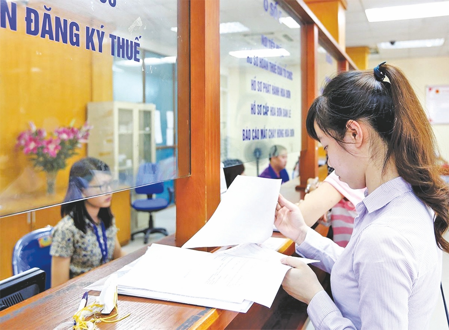 tranh chap thue ngay cang da dang