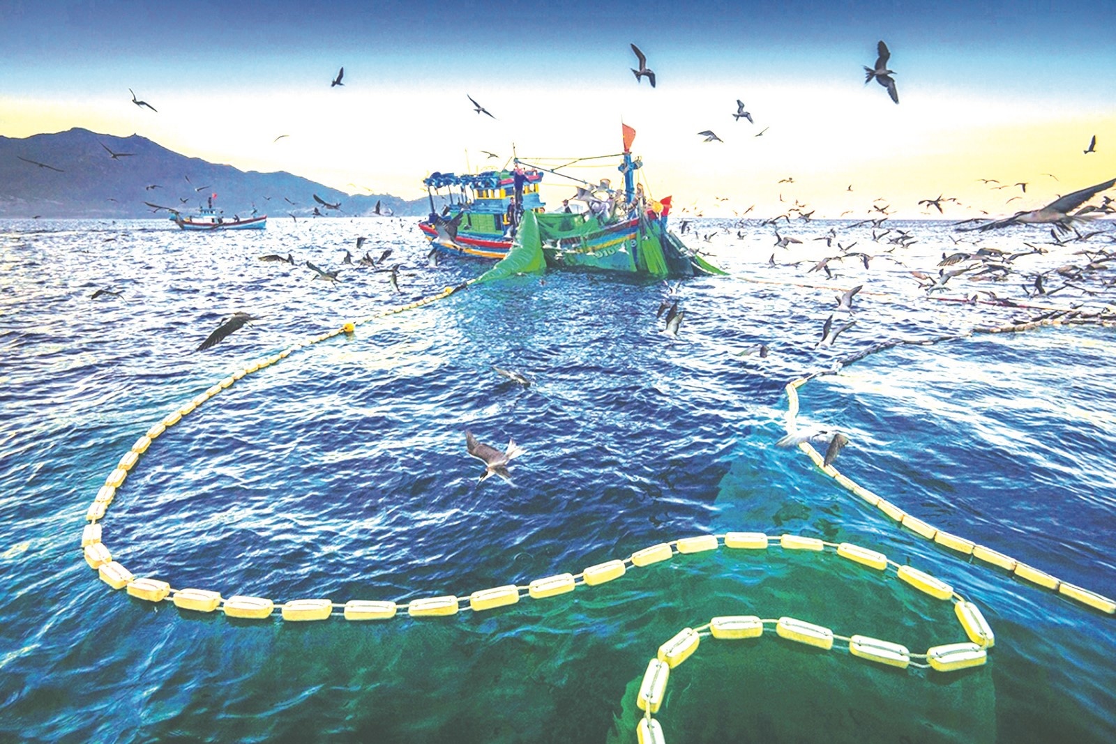 da nang tap trung go the vang thuy san