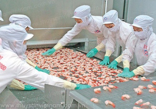 Phê chuẩn Nghị định thư sửa đổi WTO: Việt Nam hưởng lợi nhiều hơn