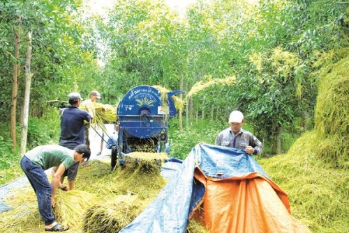 Tín dụng hỗ trợ tái cơ cấu nông nghiệp