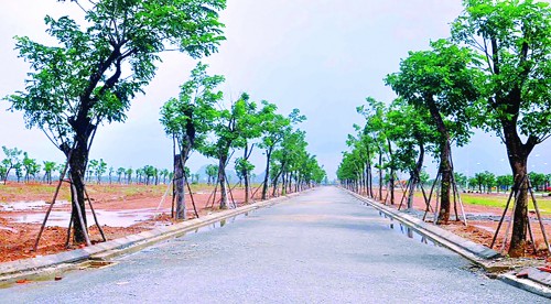 Giá đất Đà Nẵng tăng mạnh