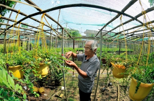 Lộ trình thí điểm liên kết phát triển kinh tế - xã hội vùng ĐBSCL