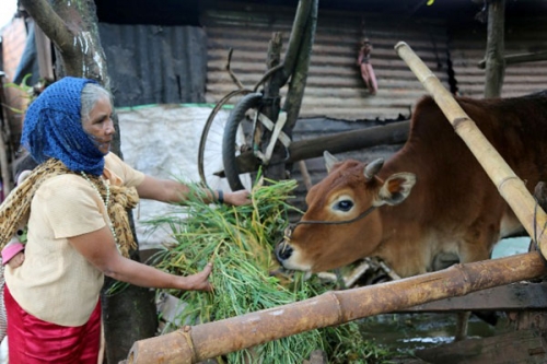 NHCSXH góp phần giảm nghèo trên địa bàn tỉnh Lâm Đồng NHCSXH góp phần giảm nghèo trên địa bàn tỉnh Lâm Đồng