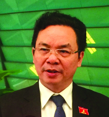 Cần cải cách toàn diện hệ thống thuế Cần cải cách toàn diện hệ thống thuế