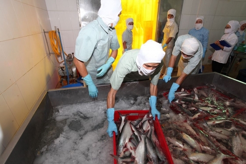 Việt Nam đã tận dụng tốt các cam kết FTA