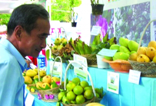 Cho vay hiệu quả với người nghèo đô thị