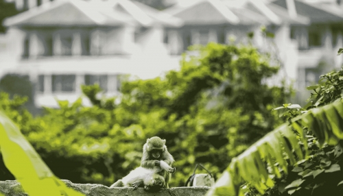 Phát triển du lịch xanh là thuận theo dòng chảy toàn cầu Phát triển du lịch xanh là thuận theo dòng chảy toàn cầu