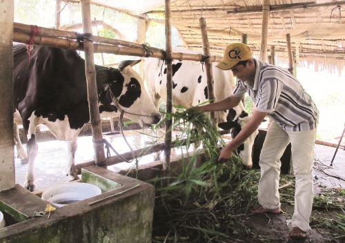 Hiệu quả từ chính sách tín dụng ưu đãi đặc thù