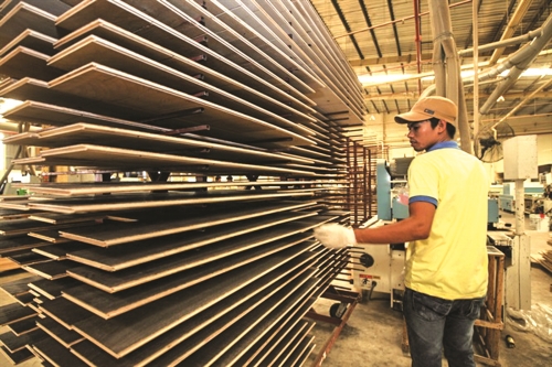 Giảm thiểu rủi ro để phát triển ngành gỗ bền vững Giảm thiểu rủi ro để phát triển ngành gỗ bền vững