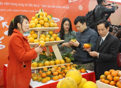 Lễ hội cam Vinh diễn ra tại Hà Nội Lễ hội cam Vinh diễn ra tại Hà Nội