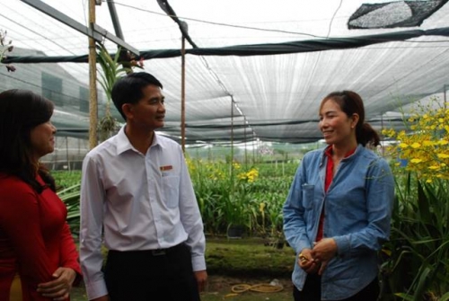 TP.HCM: Tín dụng ngân hàng góp phần vốn lớn cho phát triển nông thôn mới