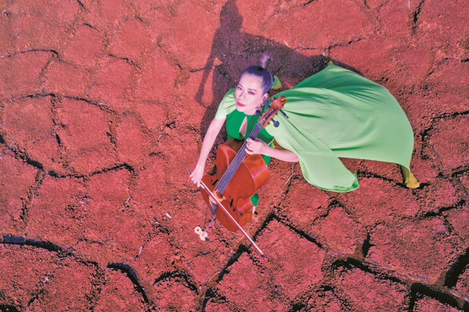 Khi âm nhạc cất tiếng bảo vệ môi trường khi am nhac cat tieng bao ve moi truong