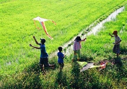 Mùi... bùn mui bun