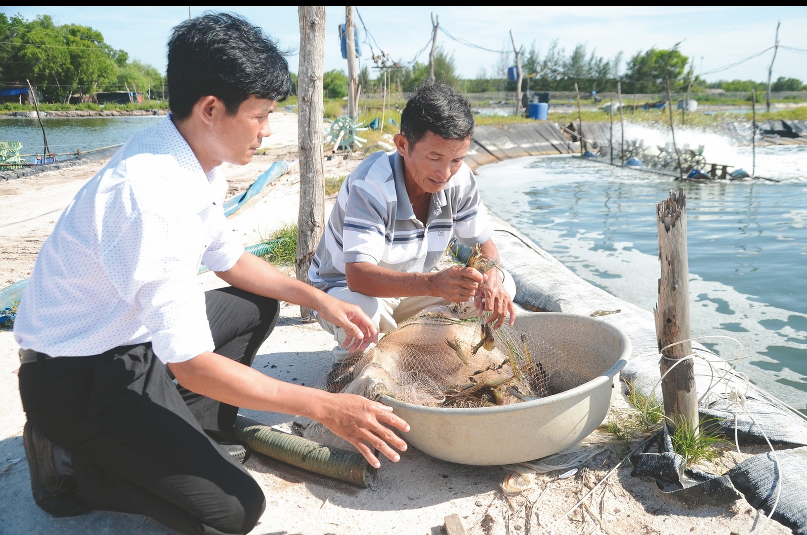 Mở rộng bảo hiểm nông nghiệp mo rong bao hiem nong nghiep