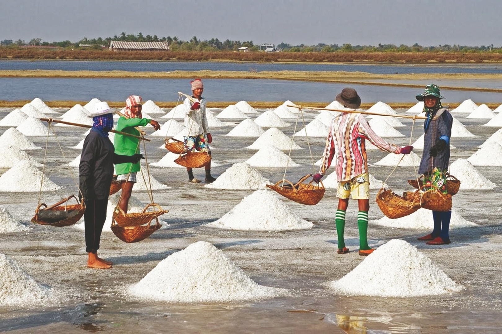 de nang cao gia tri nganh muoi