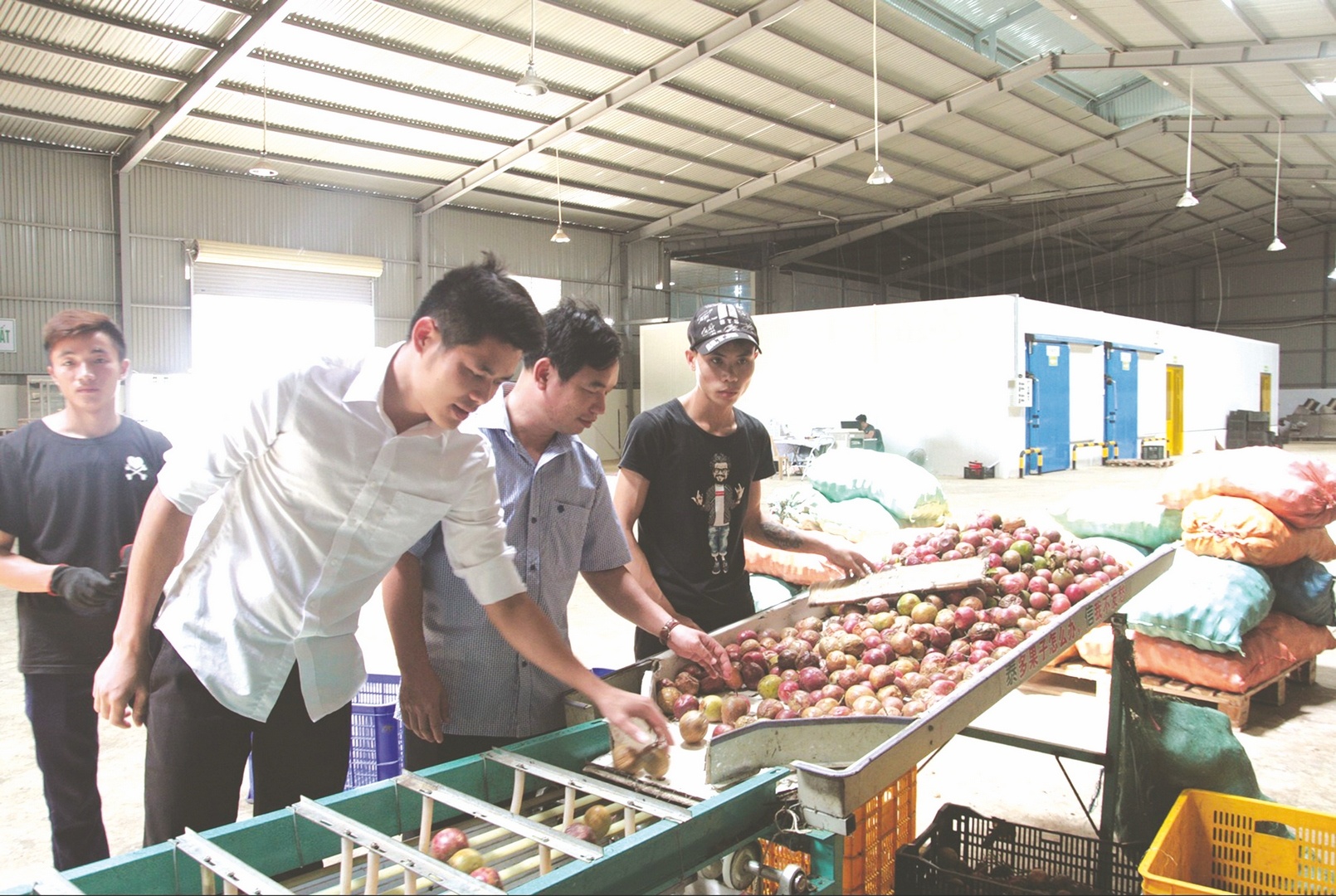 gia co dong luc tang truong o thi truong noi dia