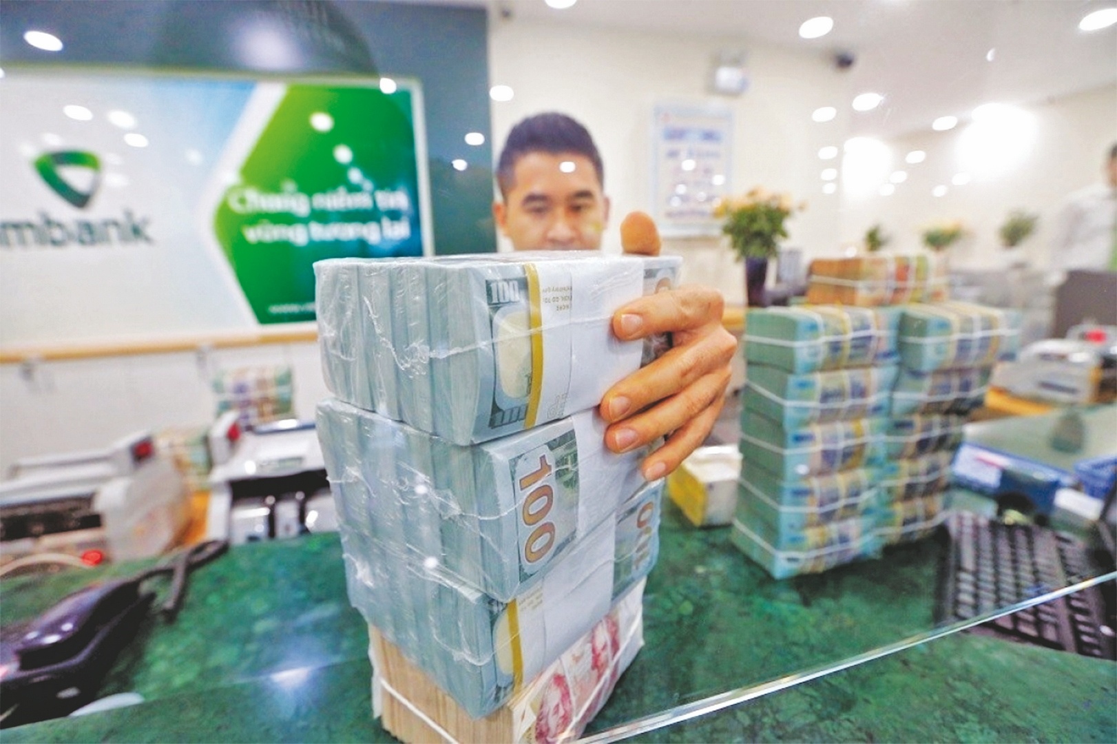 ty gia ha nhiet 133594