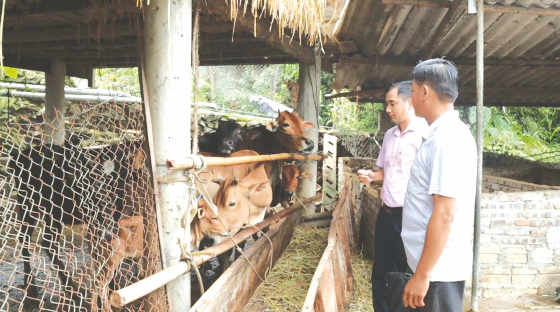 dau an tin dung chinh sach vung cao than uyen