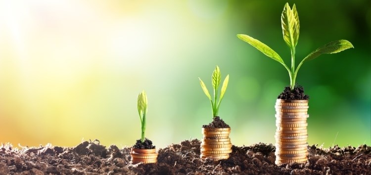 kho huy dong von xanh vi thieu quy dinh phap ly