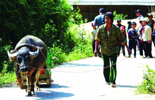 Trăn trở với bài toán xoá nghèo bền vững