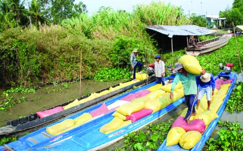 Vốn ngân hàng nâng đỡ miền Tây