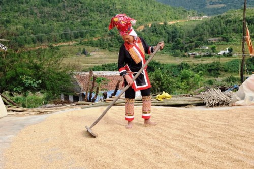 Trên 2,6 triệu lượt hộ nghèo và đối tượng chính sách vùng Tây Bắc được vay vốn từ NHCSXH