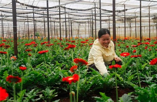 Tư nhân kéo vốn ngoại về nông thôn Tư nhân kéo vốn ngoại về nông thôn