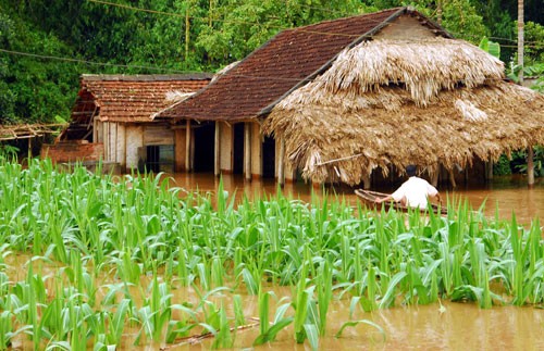 Maritime Bank được chỉ định phục vụ dự án ứng phó biến đổi khí hậu do WB tài trợ