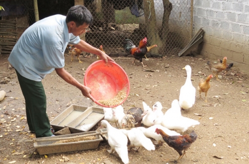 Chuyện “ba không” ở xã Vĩnh Đồng