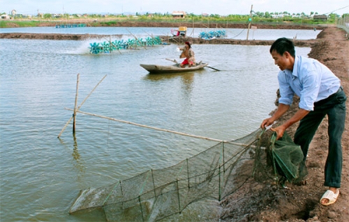 Giảm nghèo bền vững tại Ninh Bình