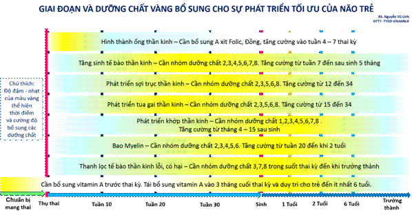 Dinh dưỡng vàng cho phát triển tối ưu não bộ trong những năm tháng đầu đời